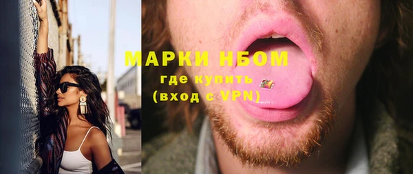 ECSTASY Богданович