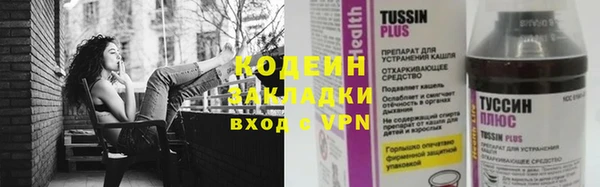 ECSTASY Богданович