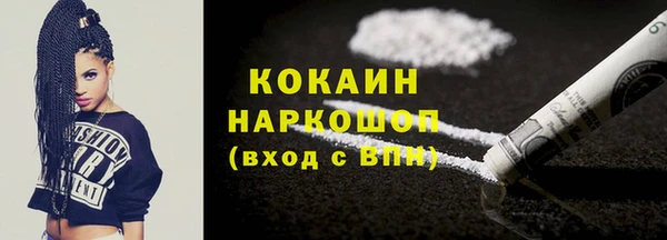 ECSTASY Богданович