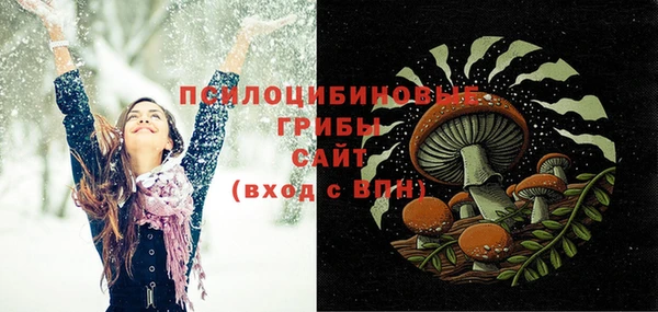 ECSTASY Богданович