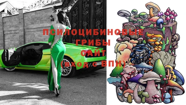 гашиш Богородицк