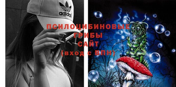 гашиш Богородицк